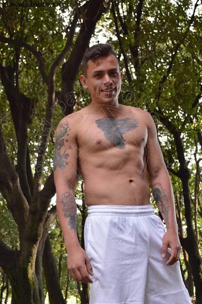 Adonis Xxl  TARANTO 3246012860